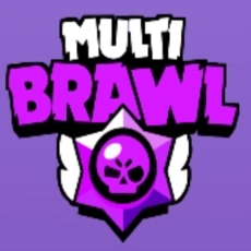 Multi Brawl